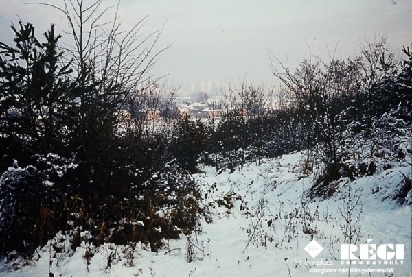 Oladi domb (1977. január) (Kőszegfalviné Pajor Klára gyűjteményéből)